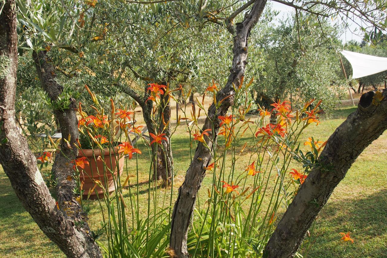 I Parigi Corbinelli Residenze Ξενοδοχείο Φλωρεντία Εξωτερικό φωτογραφία